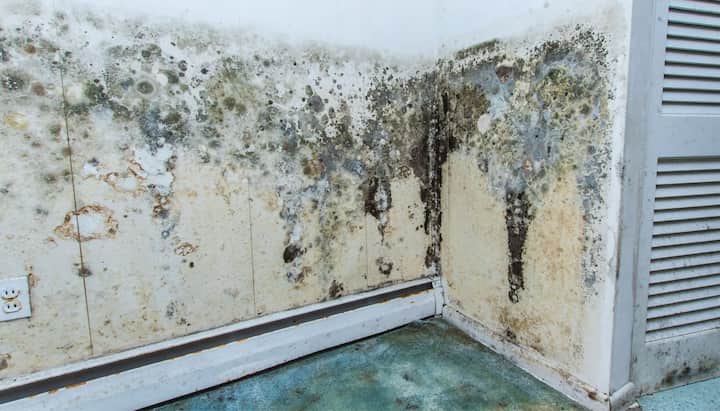 Mold Damage Odor Control Services in Franklin