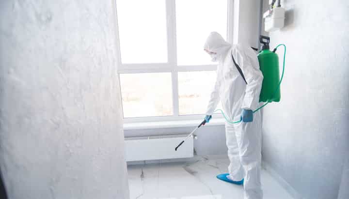 Mold Inspection Services in Franklin