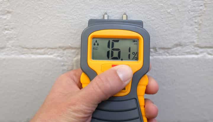 Mold Testing in Franklin