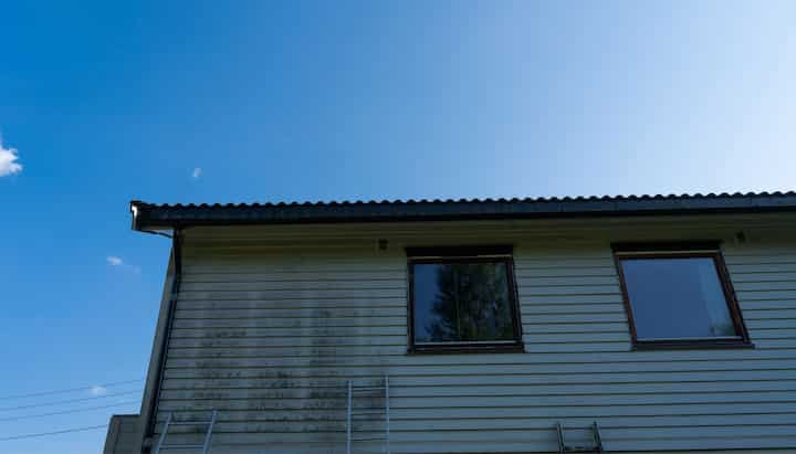 Residential Mold Removal Services in Franklin